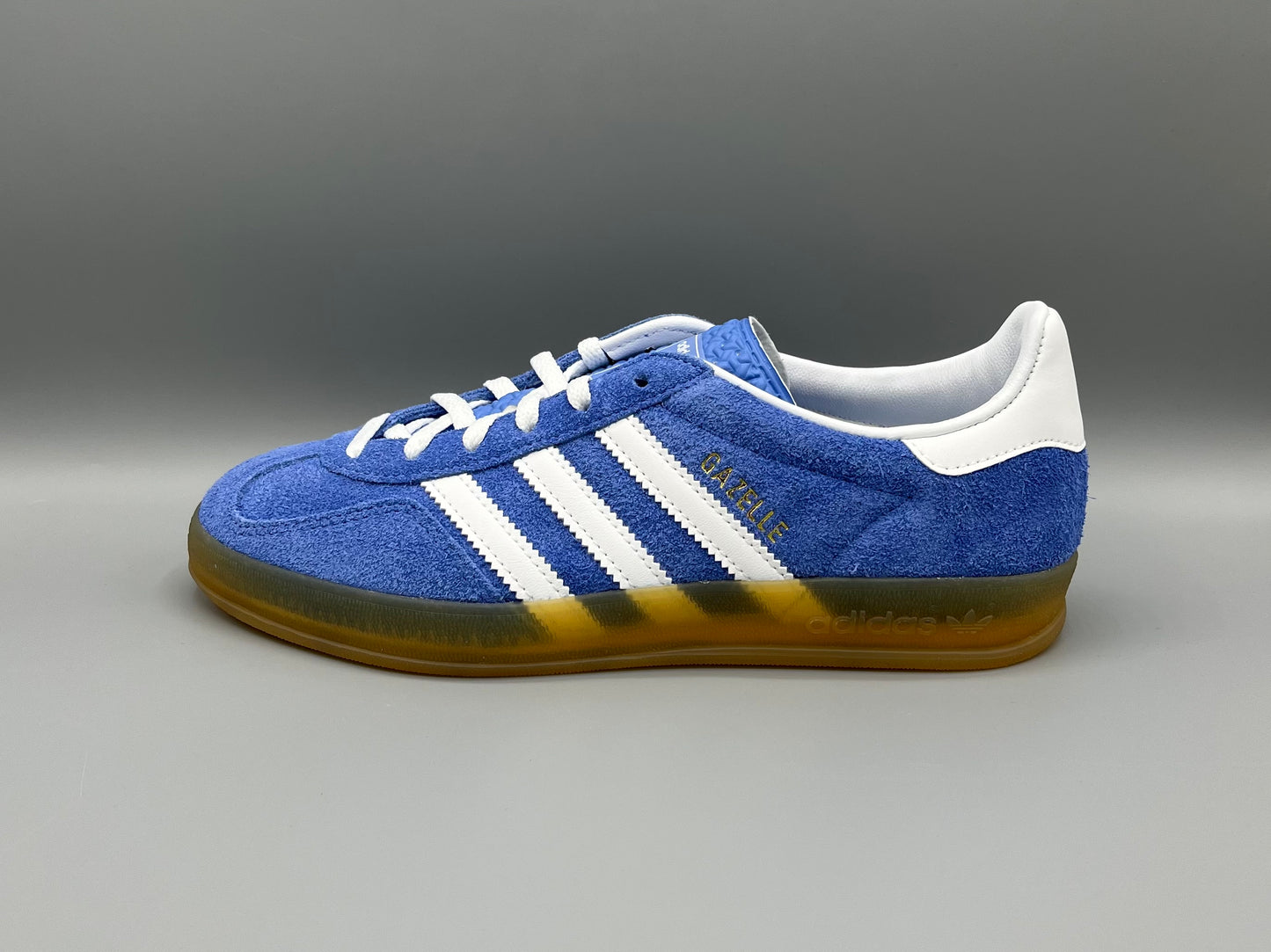 Gazelle Indoor "Blue Fusion"