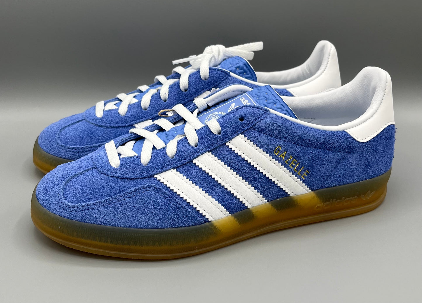 Gazelle Indoor "Blue Fusion"