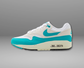 Air Max 1 "Dusty Cactus"