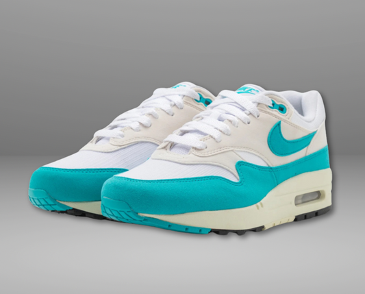 Air Max 1 "Dusty Cactus"